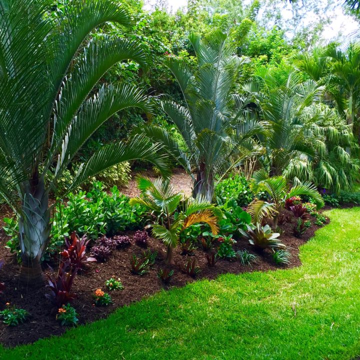 tropical-front-and-backyard-landscapes-palms-and-color-construction-landscape-llc-img~78b126eb05e746b3_14-0948-1-5ee38b3